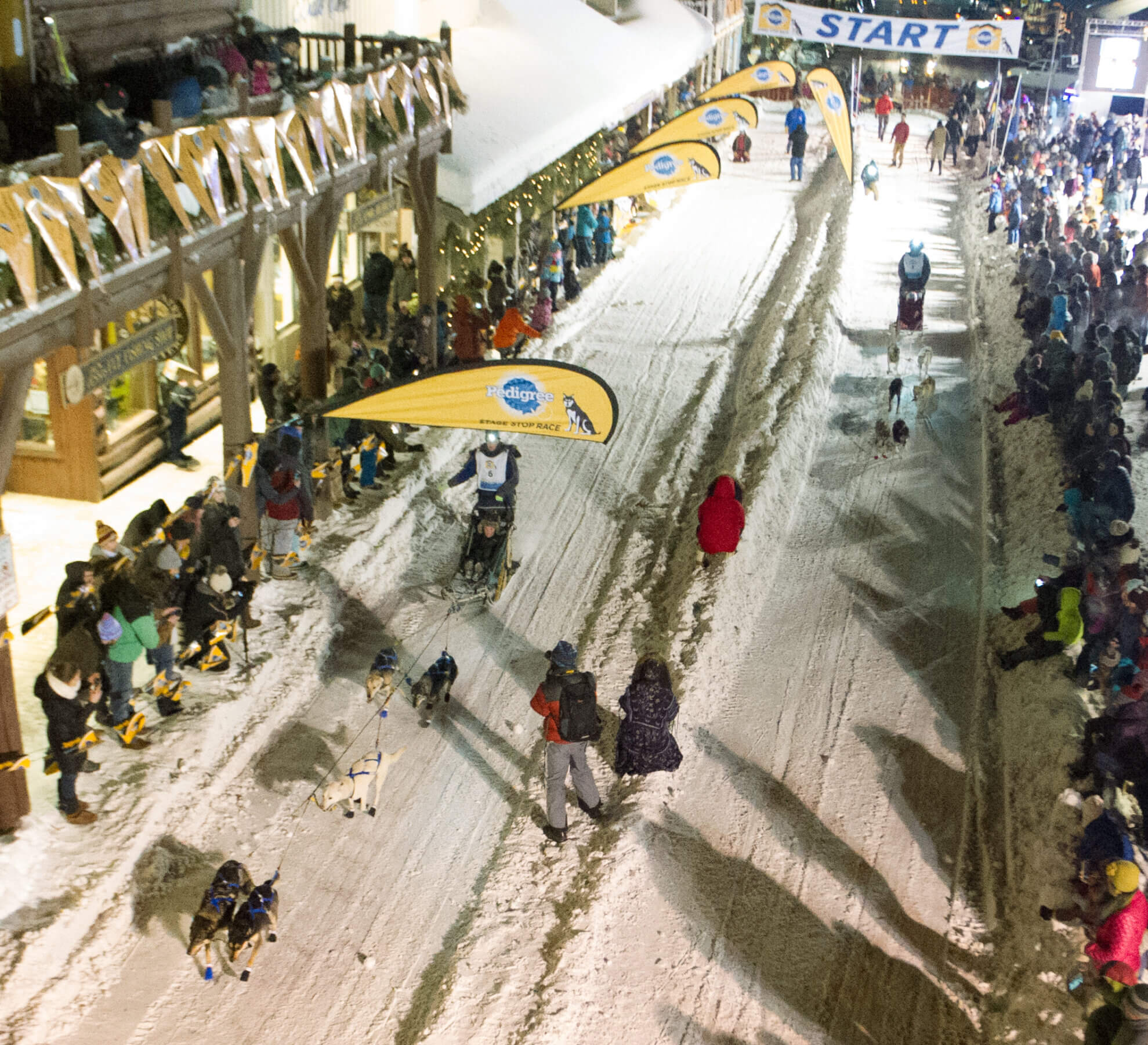 Pedigree Stage Stop Dog Sled Race in Jackson Hole
